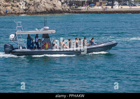 Newport avventura costiere vita marina guardando la barca lasciando Newport Beach, California, Stati Uniti d'America. Foto Stock