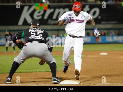 2013 Caraibi Serie in Sonora stadium © foto: IG / NortePhoto .. Israele Garnica/NortePhoto Foto Stock