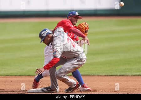 Engel Beltre es puesto pot por el segada base de Puerto Rico Jesmuel Valentin , duranti el partido de beisbol de la Serie del Caribe entre Republica D Foto Stock