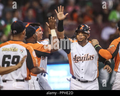 Rene Reyes de Venezuela, duranti el partido de beisbol de la Serie del Caribe entre Alazanes de Granma Cuba vs las Águilas del Zulia Venezuela en el N Foto Stock