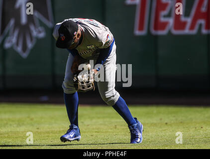 ACCIONES, duranti partido de beisbol de la Serie del Caribe de beisbol en el Nuevo Estadio de los Tomateros en Minatitlan, Messico, Domingo 5 Feb 2017. F Foto Stock