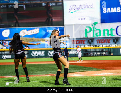 Edecanes o Chicas Tecate. .. Aspectos del segundo día de actividades de la Serie del Caribe con el partido de beisbol Águilas Cibaeñas de Republica Foto Stock