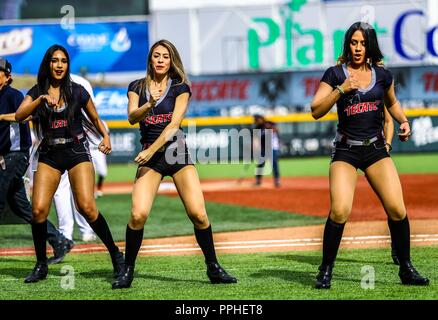 Edecanes o Chicas Tecate. .. Aspectos del segundo día de actividades de la Serie del Caribe con el partido de beisbol Águilas Cibaeñas de Republica Foto Stock