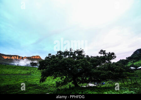Rancho Santa Barbara y Reserva Monte Mojino de la Cultura Naturale Internazionale (NSC). Area de protegida. Reserva Natural en la Sierra de Alamos, sono Foto Stock