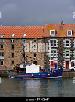 La pesca in barca nel porto. Eyemouth, Scottish Borders, Berwickshire, Scotland, Regno Unito, Europa. Foto Stock