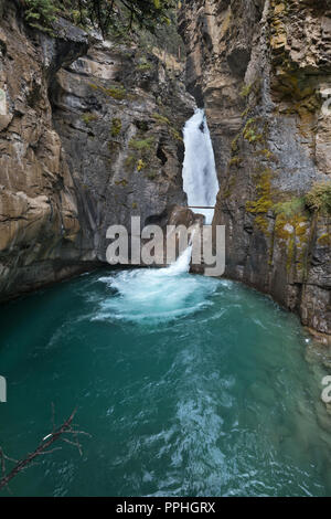 Fiume Kicking Horse, British Columbia, Yoho NP, Canada Foto Stock