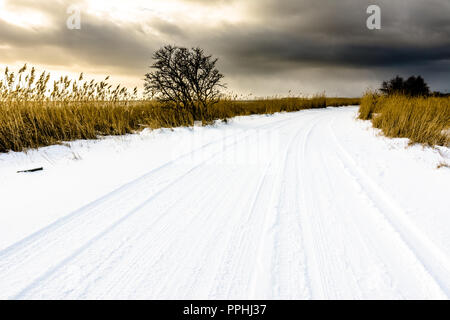 La neve sulla strada, paesaggio invernale con moody sky prima del tramonto sul lago Foto Stock