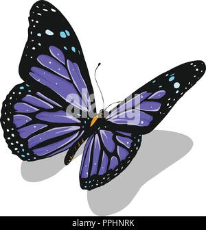 Illustrazione di una splendida farfalla colorata che vola Illustrazione Vettoriale