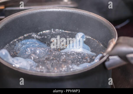Baby succhietto sterilizzazione in acqua bollente Casserol Foto Stock