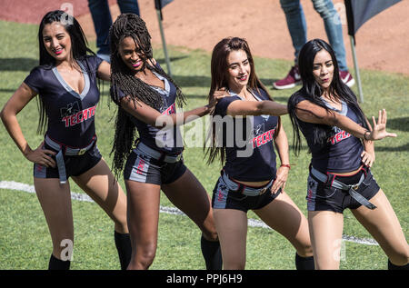 Edecanes o Chicas Tecate. Partido de beisbol de la Serie del Caribe con el encuentro entre los Alazanes de Gamma de Cuba contra los Criollos de Caguas Foto Stock