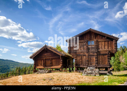 Il vecchio tradizionale norvegese elevata Stabbur legno case negozio Telemark, Norvegia, Scandanavia Foto Stock