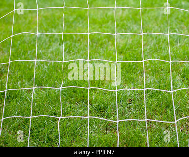 Prato visto attraverso green goal net per lo sport, vista ritagliata Foto Stock