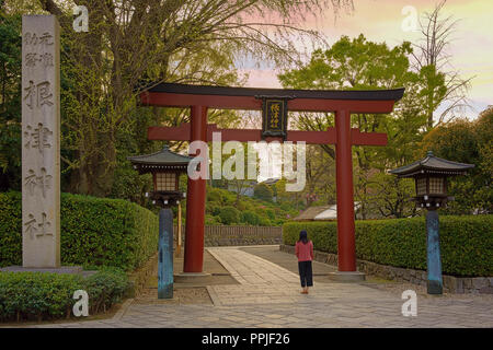 Donna in piedi all'ingresso degli shintoisti Nezu Santuario del XVIII secolo a Tokyo con la sua big red Torii portale e lanterne al tramonto. Foto Stock