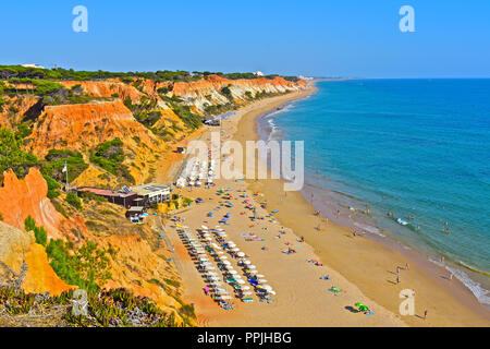 La splendida spiaggia di sabbia dorata di Praia de Falésia si estende oltre sei chilometri da Vilamoura a Olhos d'Agua, nella regione di Algarve in Portogallo. Foto Stock