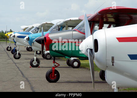 La linea di Piper PA-22 Tri-Pacer piani. Vintage classico naso aeromobili ruota. Piper Colt. Allineato a un incontro di aviazione. Fly-in caso Foto Stock