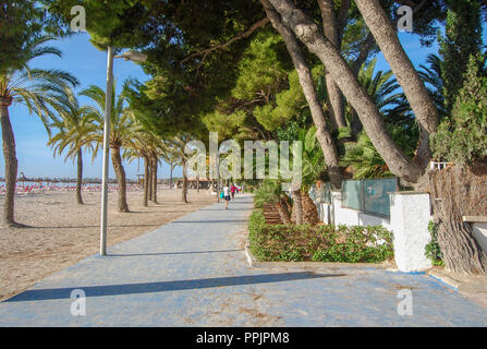 Spiaggia Vicino al Porto di Alcudia Maiorca Foto Stock