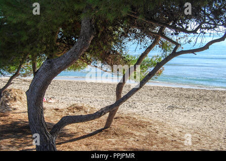 Spiaggia Vicino al Porto di Alcudia Maiorca Foto Stock