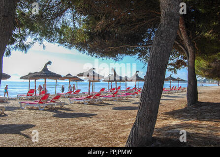 Spiaggia Vicino al Porto di Alcudia Maiorca Foto Stock