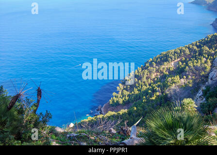 In Mountanroad Tramuntana su Mallorca Foto Stock