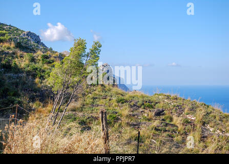 In Mountanroad Tramuntana su Mallorca Foto Stock