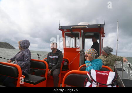 Osservazione dei delfini, Wildlife viaggio in barca, New Quay, Cardigan Bay, Ceredigion, il Galles, la Gran Bretagna, Regno Unito, Gran Bretagna, Europa Foto Stock