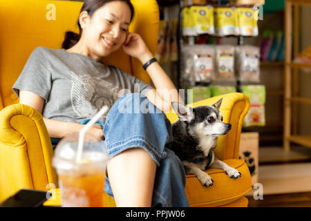 Donna sedere sul divano giallo sorridente con il nero chihuahua cane in pet shop Foto Stock