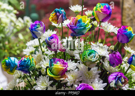 Rainbow Rose in un mazzo di fiori del giardino all'aperto. Foto Stock