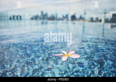 Fiore galleggia sulla superficie dell'acqua di piscina sul tetto contro silhouette di edifici di urban skyline. Foto Stock