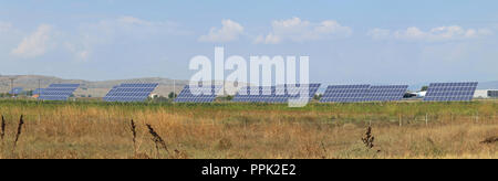 I pannelli solari montati sul sistema di tracciamento in campo Foto Stock