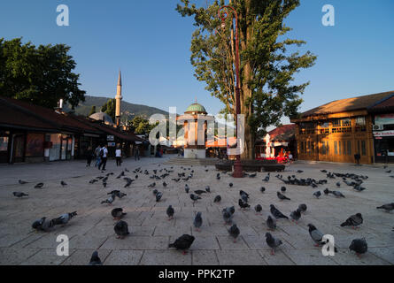 Piazza Principale nel centro della città di Sarajevo (Baščaršija) piena con piccioni. Fontana nel mezzo e Baščaršijska džamija (moschea) all'indietro. Foto Stock