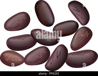 Fagioli bianchi, bianco, fagioli bianchi, chicchi di cacao. Fagioli rossi, legumi, realistici Illustrazione Vettoriale