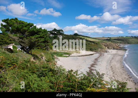 Vista dall'alto di Pendower beach, vicino Veryan, Cornwall attraverso la vasta spiaggia di sabbia sotto i cieli blu con fogliame e gli alberi del sun. Foto Stock