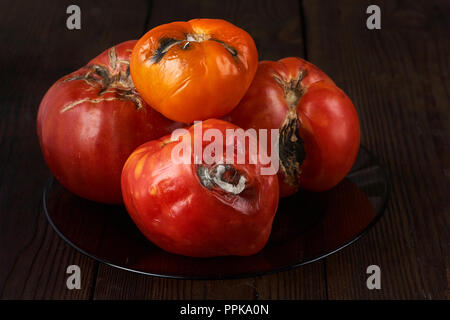 Viziato marcio tre pomodori in legno scuro dello sfondo. Foto Stock