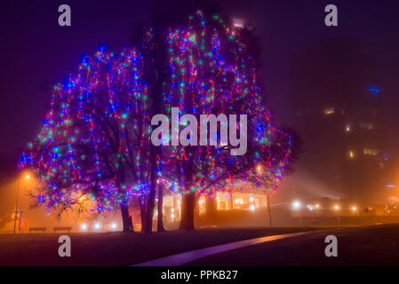 Le luci di Natale a Elm Grove, English Bay, Vancouver, British Columbia, Canada Foto Stock