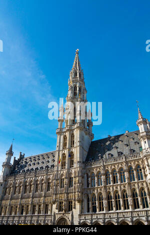 Hotel de Ville, Stadhuis Van Brussel, municipio, Grand Place, Grote Markt, piazza principale di Bruxelles, in Belgio Foto Stock