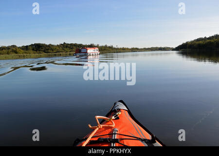 Broads holiday cruiser su Limekiln Dyke direzione Barton ampia, Norfolk, Regno Unito, Broads National Park Foto Stock