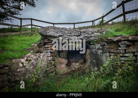 Bryn yr Hen Bobl Neolitico camera di sepoltura vicino Plas Newydd, Anglesey, Galles, Regno Unito Foto Stock