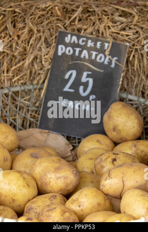 Fresca camicia organico le patate in un contenitore di maglia su una balla di fieno parte delle verdure fresche a Harwarden Station Wagon Farm Shop, Flintshire, Galles Foto Stock