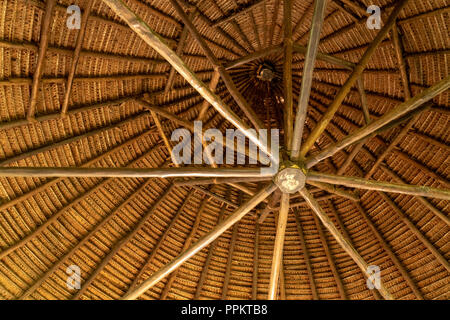 Nauta, Perù, Sud America. Guardando verso l'alto una circolare in treccia di palm tetto di paglia interni. Foto Stock