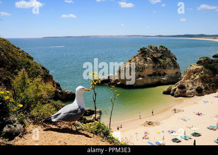 Praia dos Três Irmãos e gabbiani, Algarve, PORTOGALLO Foto Stock