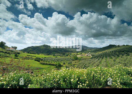 Vale dos Barris, Arrábida Nature Park. Palmela, Portogallo Foto Stock