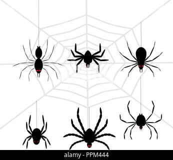 Scary Halloween nero spider impostato Illustrazione Vettoriale