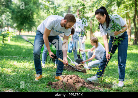 I volontari a piantare alberi nel parco verde insieme Foto Stock