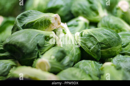 Fresche, organico, farm-direct cavoletti di Bruxelles venduti alla rinfusa. Foto Stock