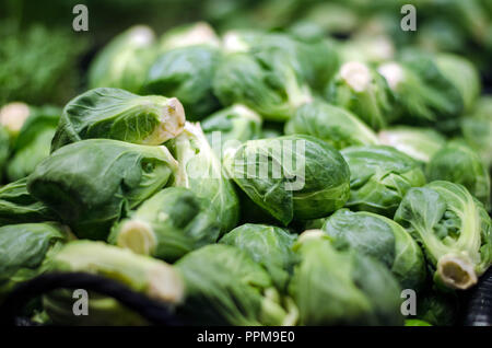 Fresche, farm-direct, organico cavoletti di Bruxelles venduti alla rinfusa. Foto Stock