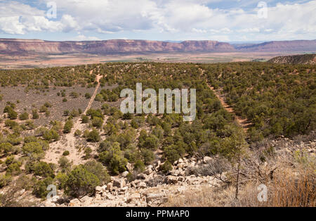 Paradosso valle a sud ovest di Colorado, STATI UNITI D'AMERICA Foto Stock