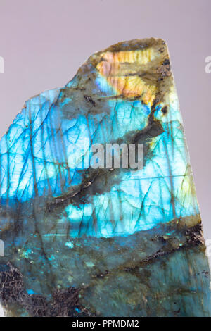 Uno lucidati Labradorite Pietra isolato su sfondo bianco di close-up. Campione di lucidati Labradorite Pietra con colore labradorescence rifrazione. Foto Stock