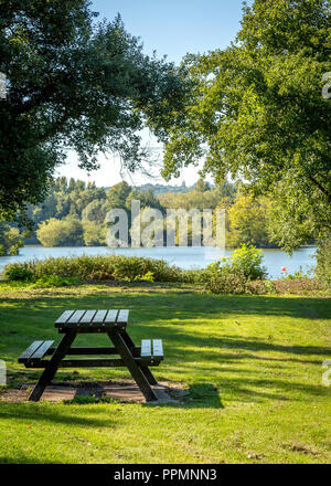 Vedute sul lago in una giornata di sole con cielo blu chiaro. Prese a Redditch, Worcestershire. Foto Stock