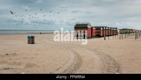 Spiaggia di capanne e Flock of Seagulls Foto Stock