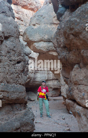 Owl Canyon Lake Mead National Recreation Area, Nevada Foto Stock